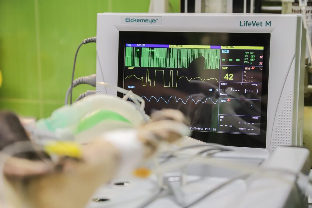 trouvez des vétérinaires compétents près de chez vous pour assurer la santé et le bien-être de vos animaux de compagnie. découvrez nos conseils et services vétérinaires spécialisés.