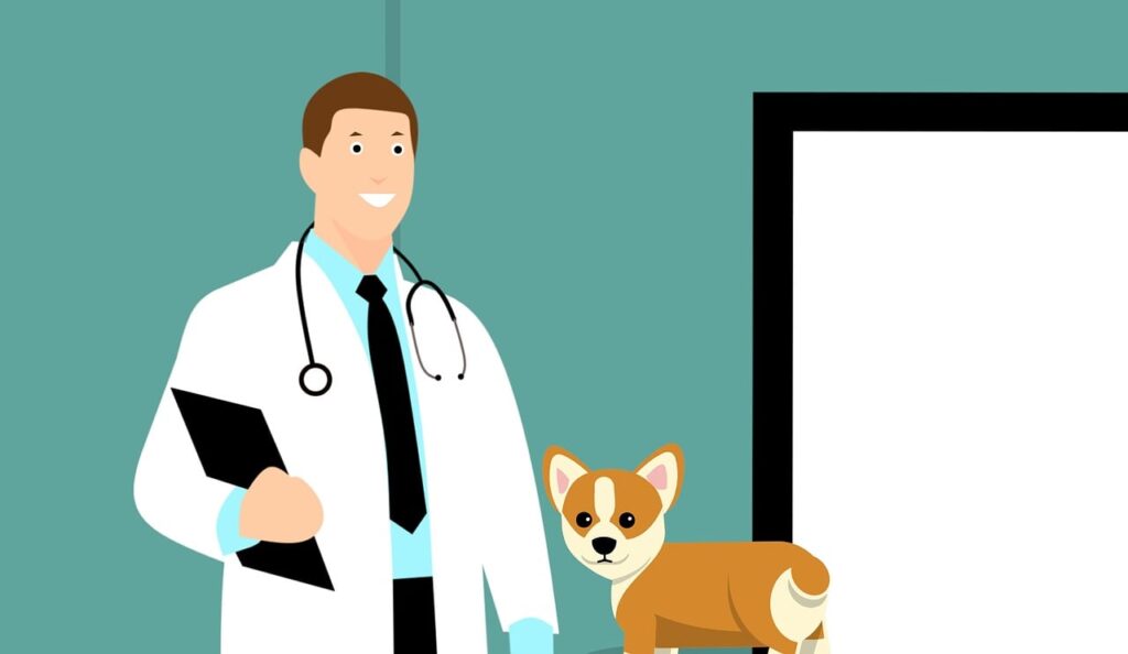 trouvez un vétérinaire qualifié près de chez vous pour assurer la santé et le bien-être de vos animaux de compagnie. conseils, soins médicaux et informations utiles sur les vétérinaires et leurs services.