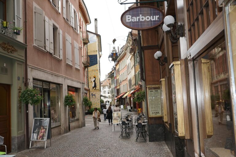 découvrez notre sélection d'animaleries offrant tout pour vos compagnons : nourriture, accessoires et conseils pour leur bien-être.