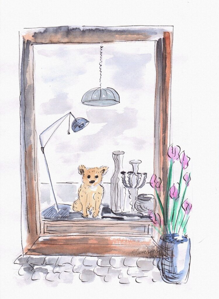 découvrez notre sélection de magasins pour animaux, proposant tout le nécessaire pour le bien-être de vos compagnons : nourriture, accessoires et conseils experts.